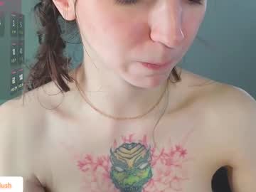 Cam for linpie
