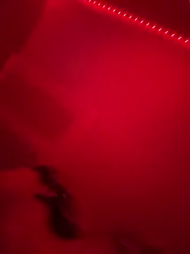 Stripchat Sex Cam for mskitty00